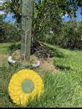 an artificial sunflower sitting in front of a tree